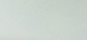 #31 - White